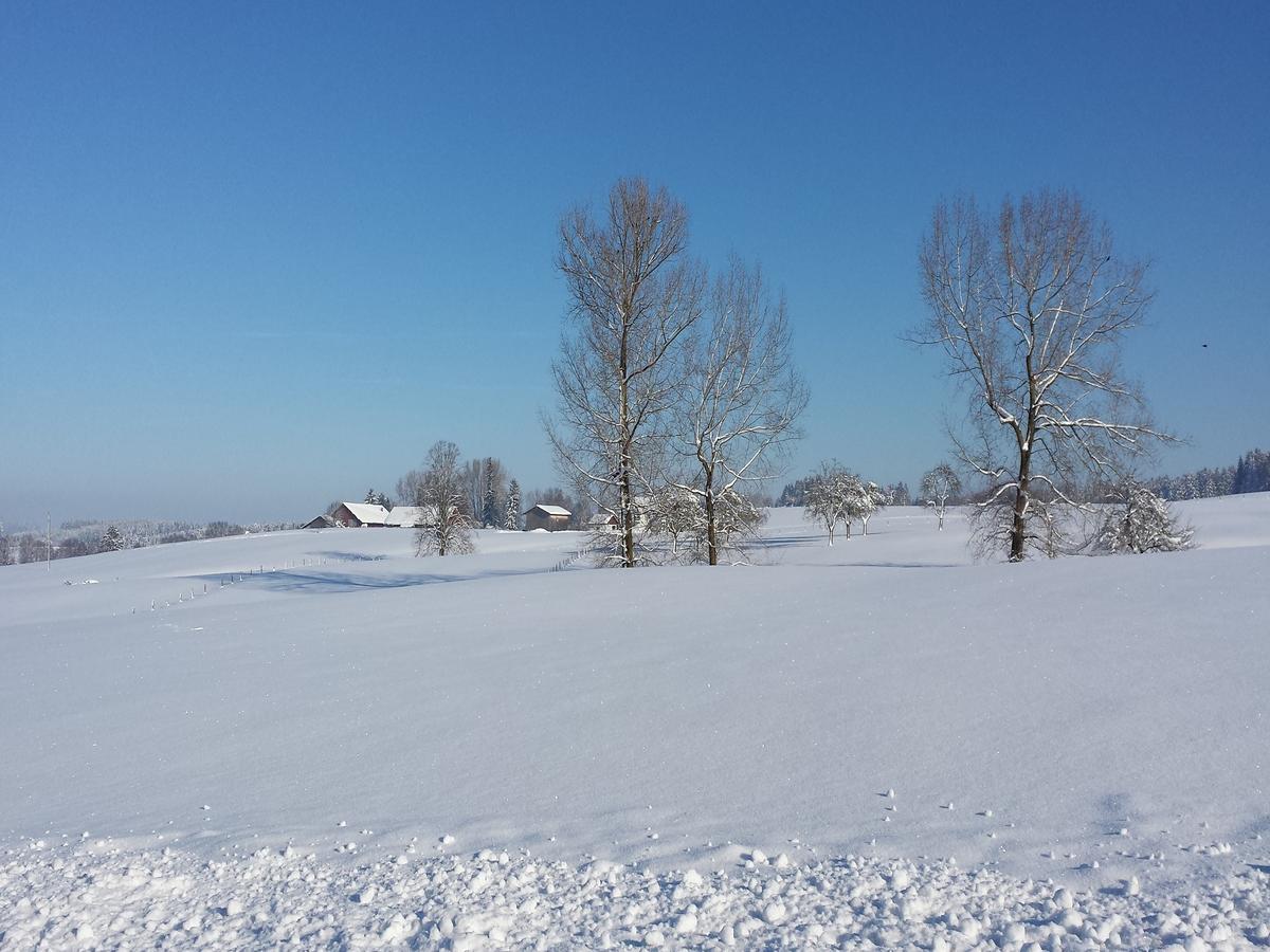 Ferienwohnung Sonnenschein Heimenkirch Zewnętrze zdjęcie